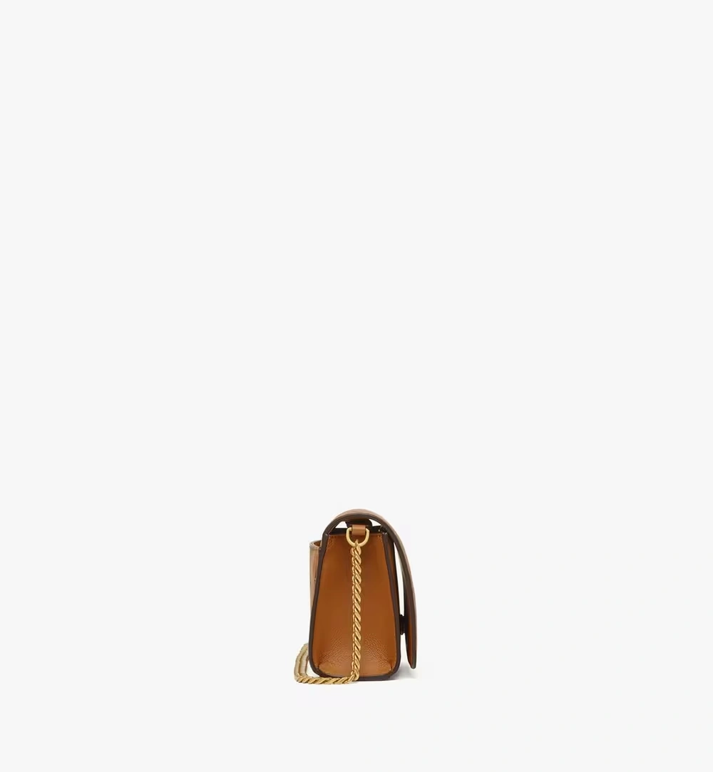 Mini Aren Shoulder Bag in Visetos Cognac